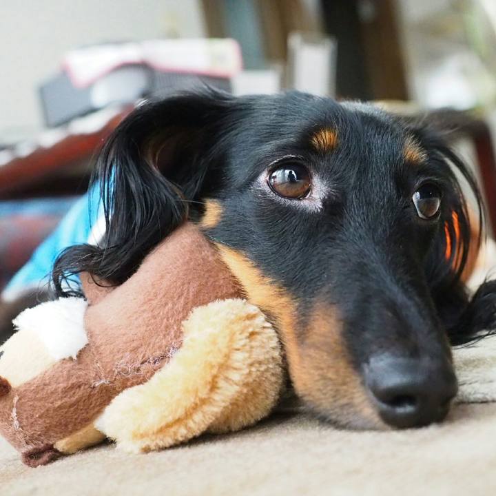 9cf9987b f55d 46ba 8232 8e1b2a86f936