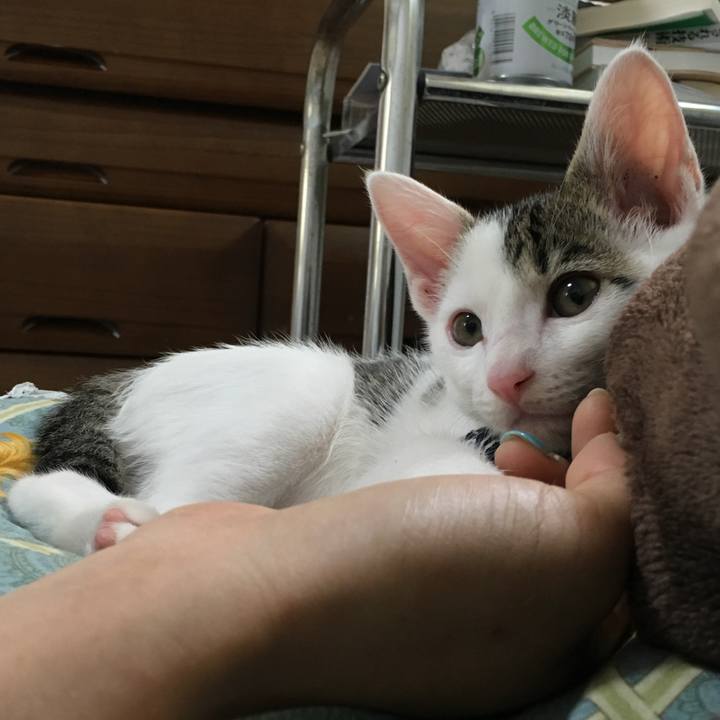 9cfa5836 98d4 422b 8b81 d47b42ad2c2c