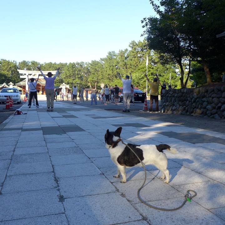 9cfa8820 dc76 40de 8c93 945de2cc1ea1