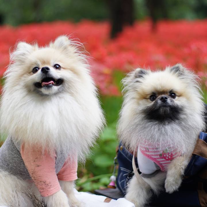 9cfaa3fe 2129 47db 9205 9b10adefc2e5