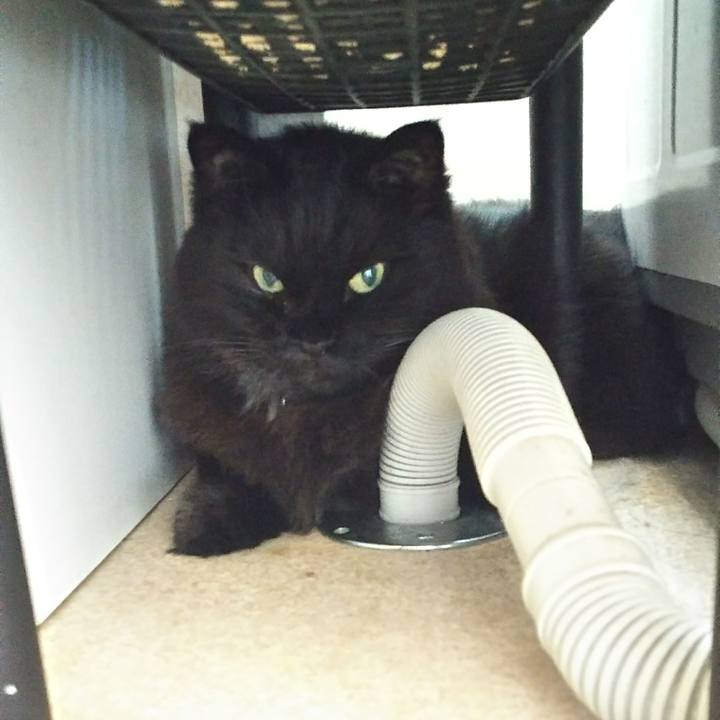 9cfaa744 4076 4f05 ba71 f001fbe4ab78