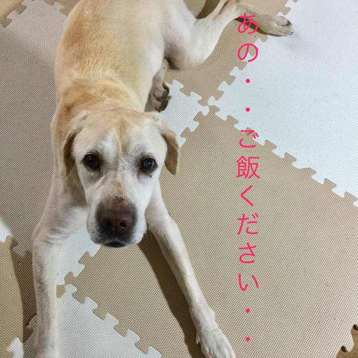 9cfab7c5 37f6 436e 9ba8 439f282b6a91