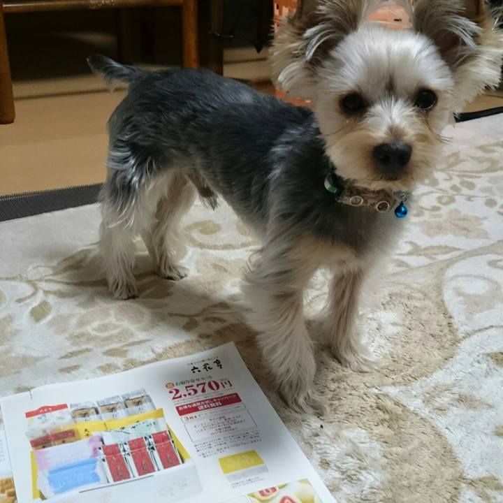 9cfb0818 7795 41a9 8aef d0b974a4e3c9