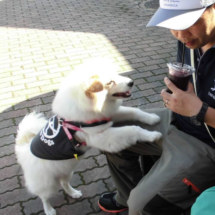 9cfb4bb9 955d 4ec5 ab6d 51055b3e4d89