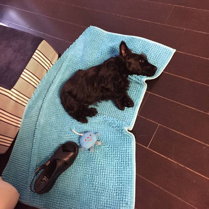 9cfb4ed1 5c7f 42ea 9dc0 f1e899436e56