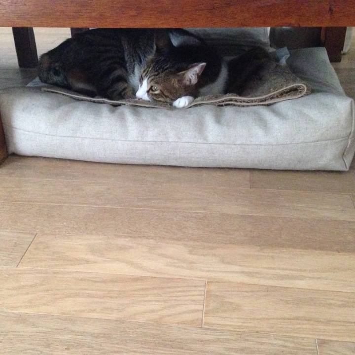 9cfb793a b07e 4a6b 9343 9546685fe670