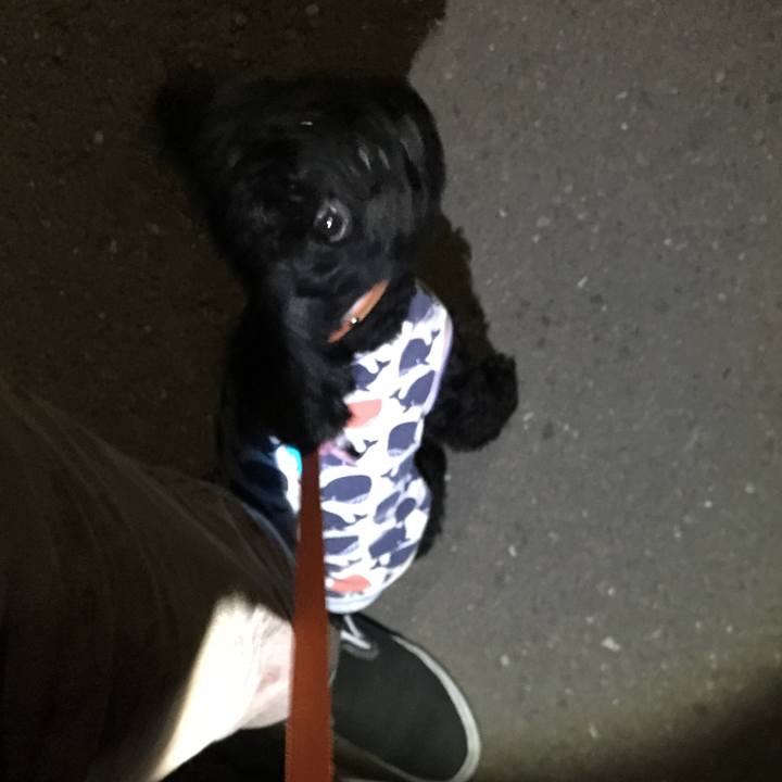 9cfb86ee 9430 42db b363 5d0e77b2ea60