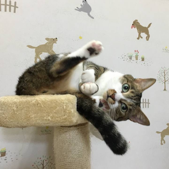 9cfbced5 579d 48e8 a188 903328603f7d