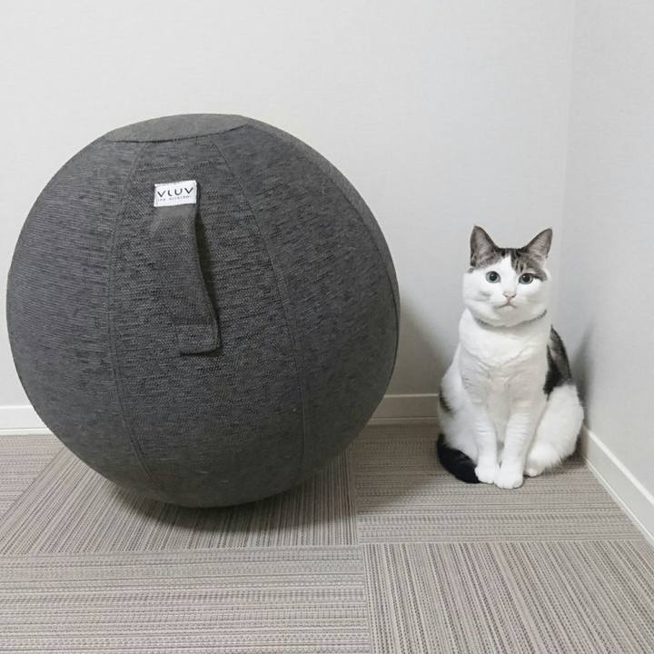 9cfbf28f 25f8 45c3 bc21 7aace18415d8