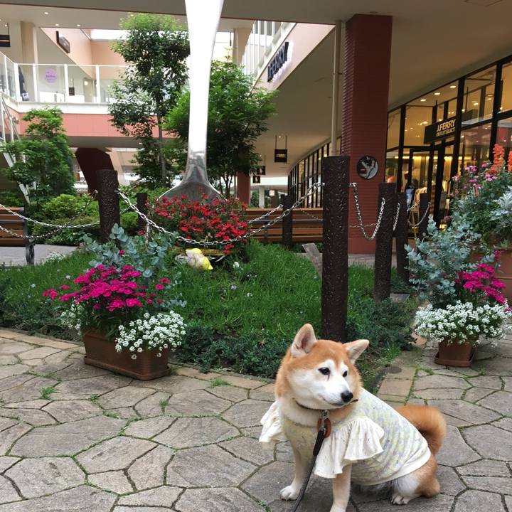 9cfc6865 bf5b 4196 aaa2 3159bee070ce