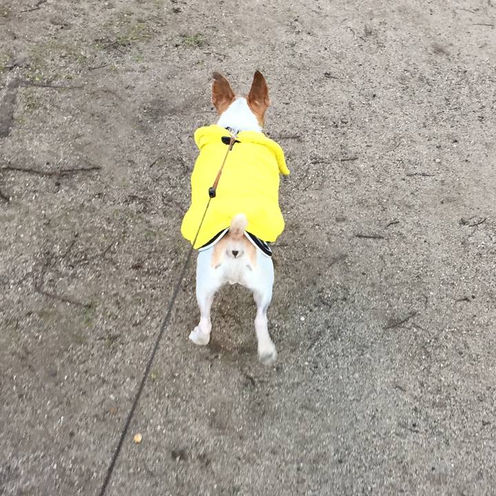 9cfcb6dd 0d39 435d a8cc c60f61762748