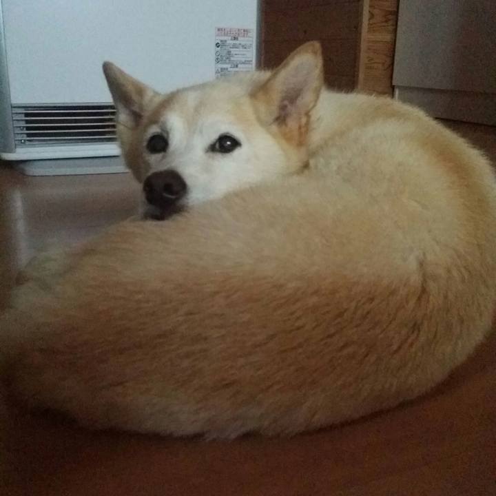 9cfd5782 b06d 4694 a173 162d11ddf440