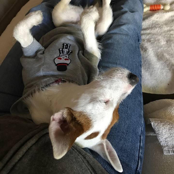 9cfe1091 af00 449c 913d 1548ab4f8110