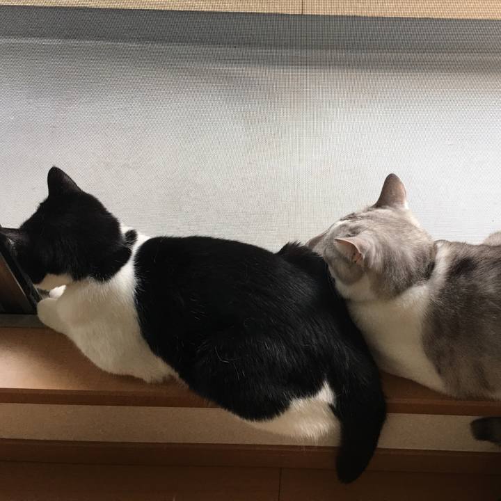 9cfe997a 9129 4a7a 90b9 a6594ba9f698