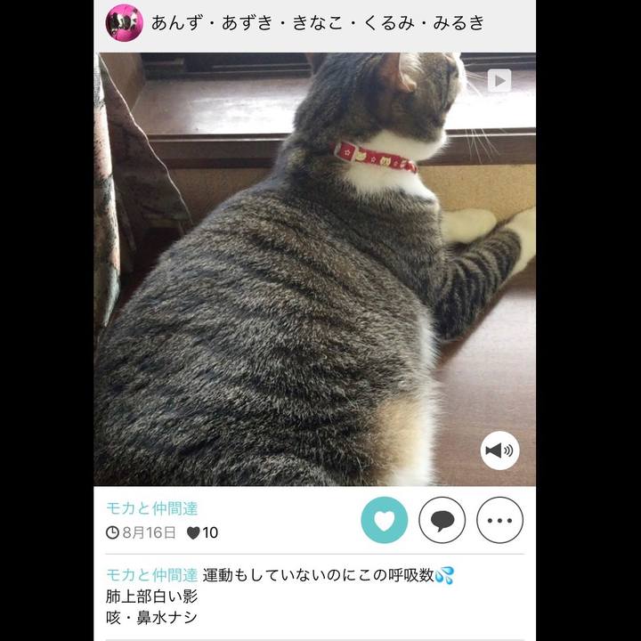 9cffa300 3612 44a5 a19f f3de70248f34