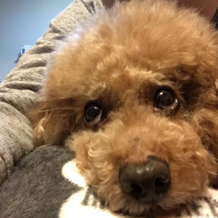 9cffa503 ab3a 41e5 8f21 4374094169e0