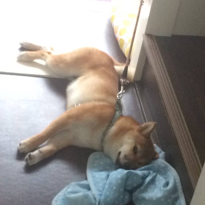 9cffcd0c 4afa 42c7 b7e7 7d89f4364c2c