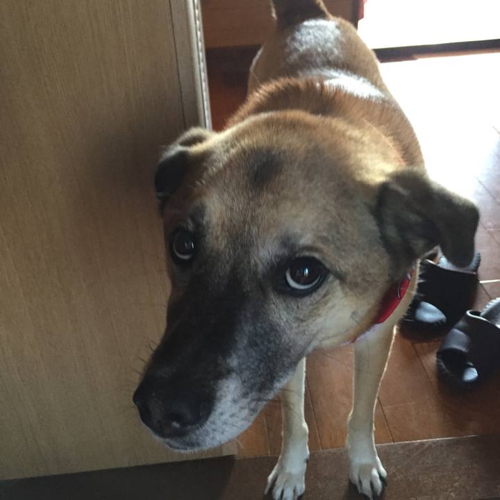 9d008318 259d 4491 ae7c bbb3b2d78f62