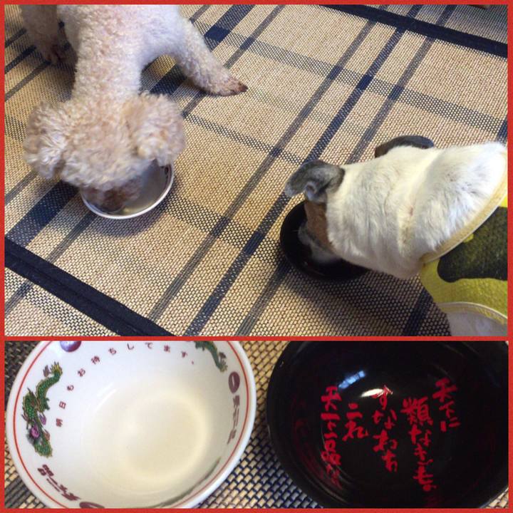 9d00a73d 1243 4b84 a40e 9525d1a8a6e6