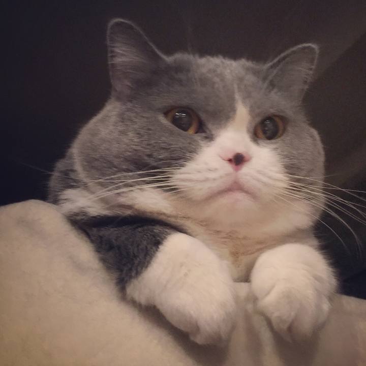 9d00a952 d3db 49af b1d7 0fb238be5623