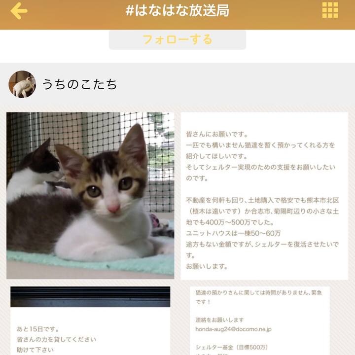 9d012dec 90e8 4671 a319 2522143ce163