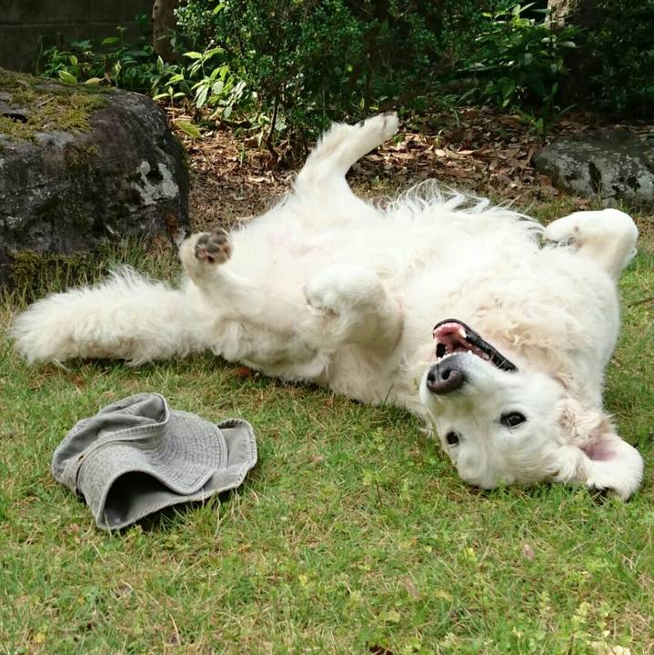 9d014e0e d35e 402d 830f ac840b30d476