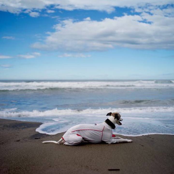 9d0183e7 debb 41b4 bc21 e2b1b6f741e8