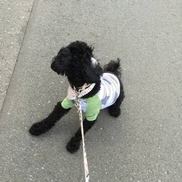 9d019071 7ce8 4b27 a07a c2af45939e8b