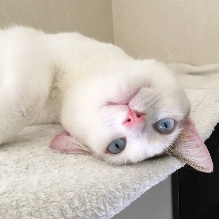 9d01cf59 c95a 442d 968a 299efbae8945