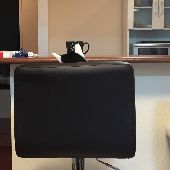 9d01ea54 1529 4082 be90 bce4226e3096