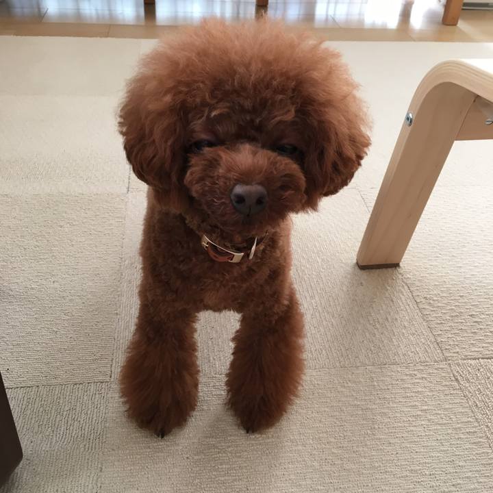 9d0281bb 987d 4b3d aaa7 bd633732444a