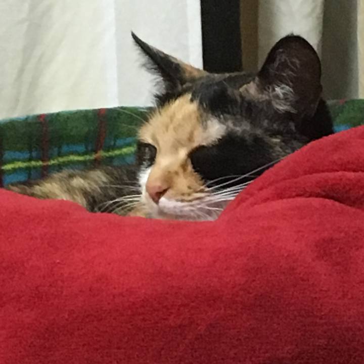 9d02a2bb 1e7a 40dc 9fb5 42c1a3bb541a