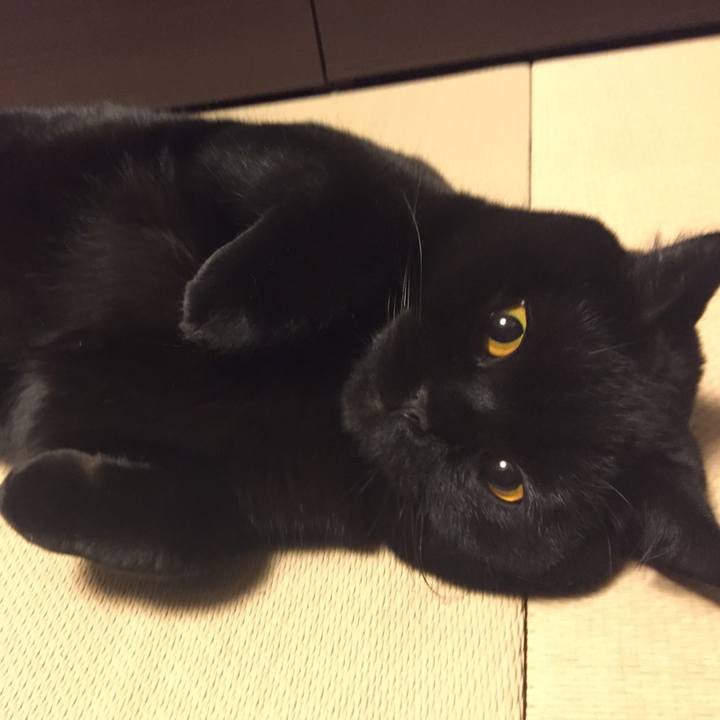 9d030a51 f67c 4fa5 b377 350ac08d5bf9