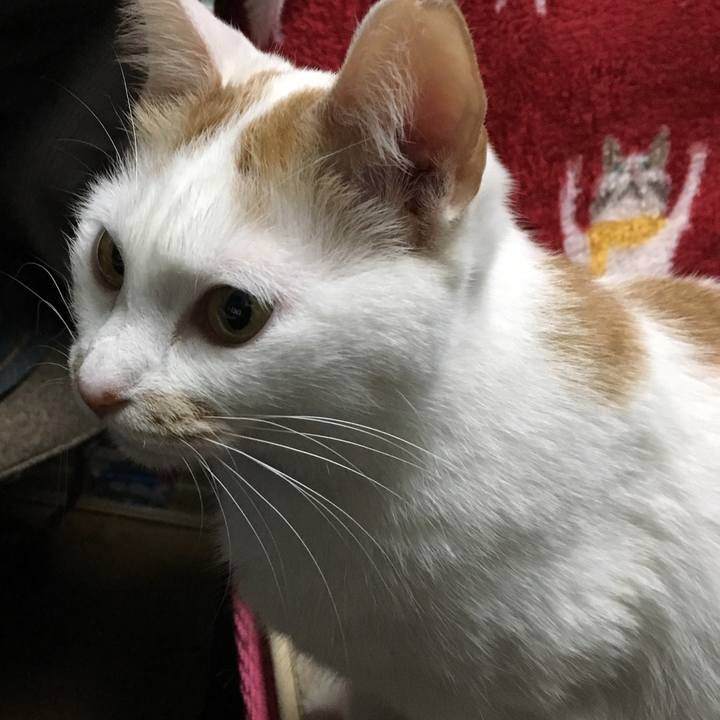 9d0336a3 50a8 4fed 8488 e22fdd6cd98f