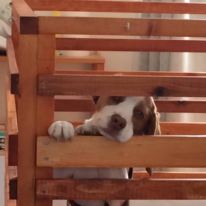 9d045ec5 fdd4 4d21 a22d 73ecdb4e7294