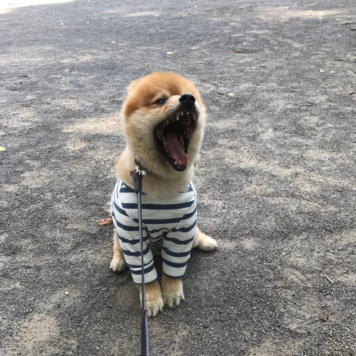 9d047250 e5c0 4677 a6be 3994f325718d