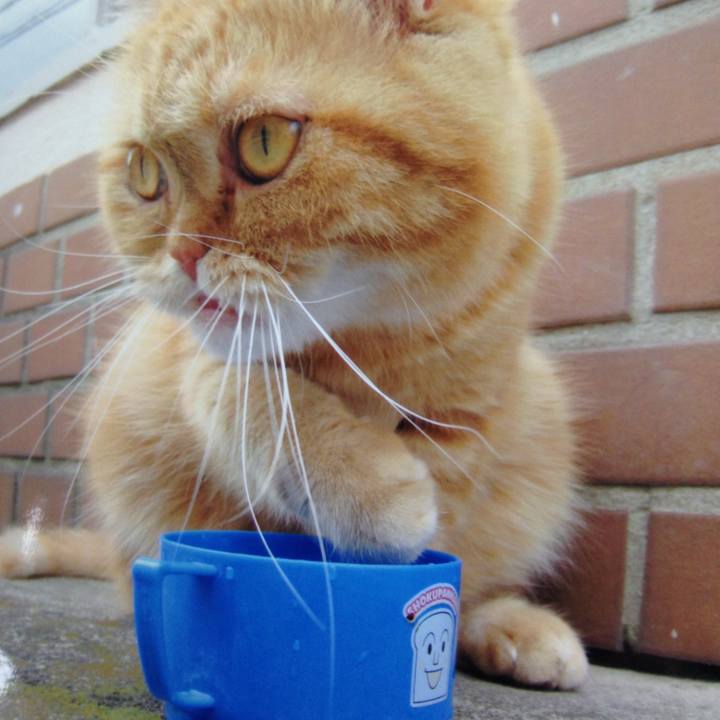 9d04ba45 8401 4423 a26a 3766db1f750a