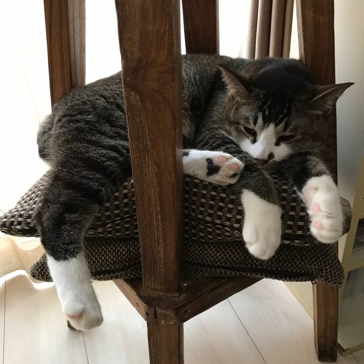 9d04f2b9 d053 433d 9e5e 5422cea11107