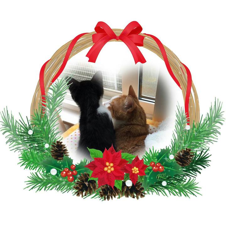 9d06a069 21e3 4b14 9ec7 5ba2fa28f184