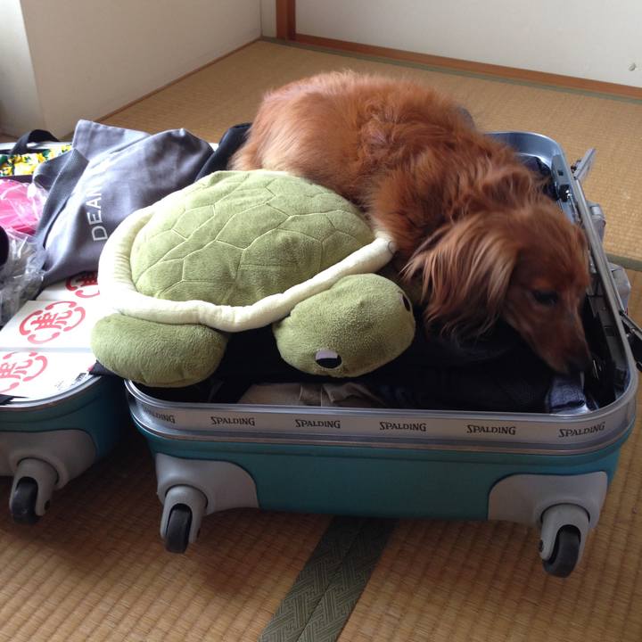 9d070234 e4a5 4610 85f1 f60d31a3839a