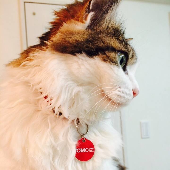 9d070b44 8380 45a0 ae22 4f74d1389865