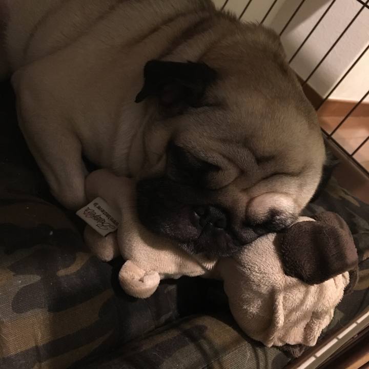 9d078ccb 8c8c 49a8 99fb 177822261b17