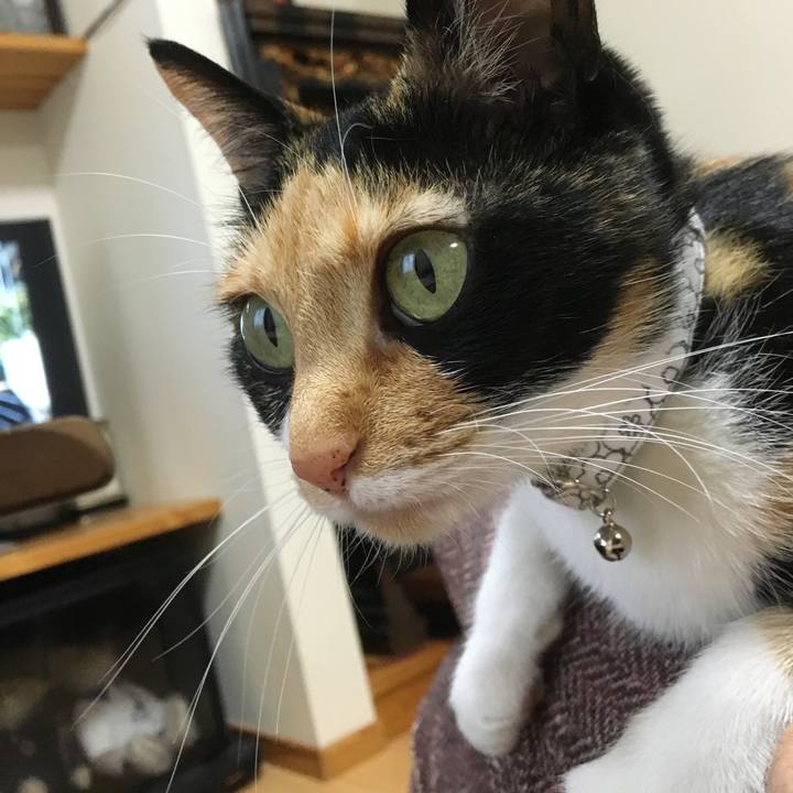 9d07a2c7 6223 42d8 af33 1bc48f1d30c2