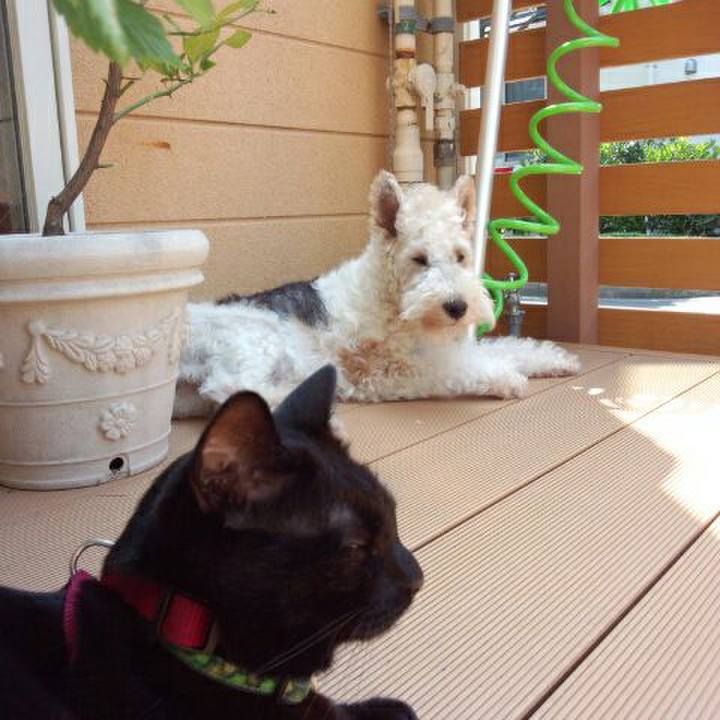 9d080a6e 0bec 4e35 aa43 47af1cb881a7