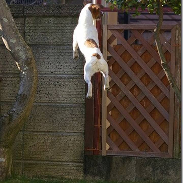 9d08183d 549a 4386 a13d b4c116decb68