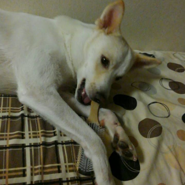 9d085674 4356 4a92 b53f dc6505769201