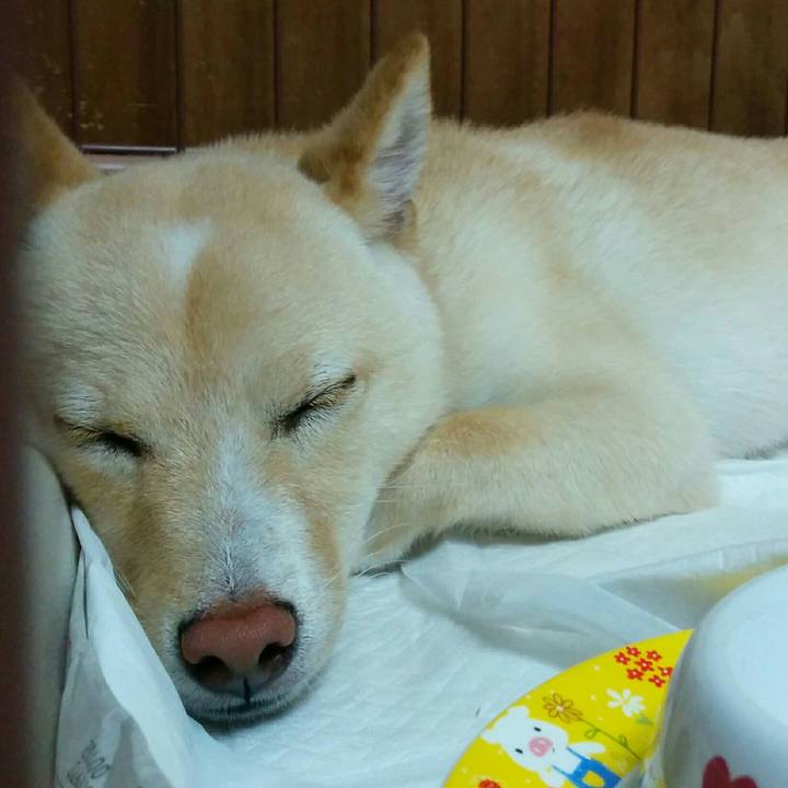 9d091bc5 8342 4315 b4d2 6c20b18c4711