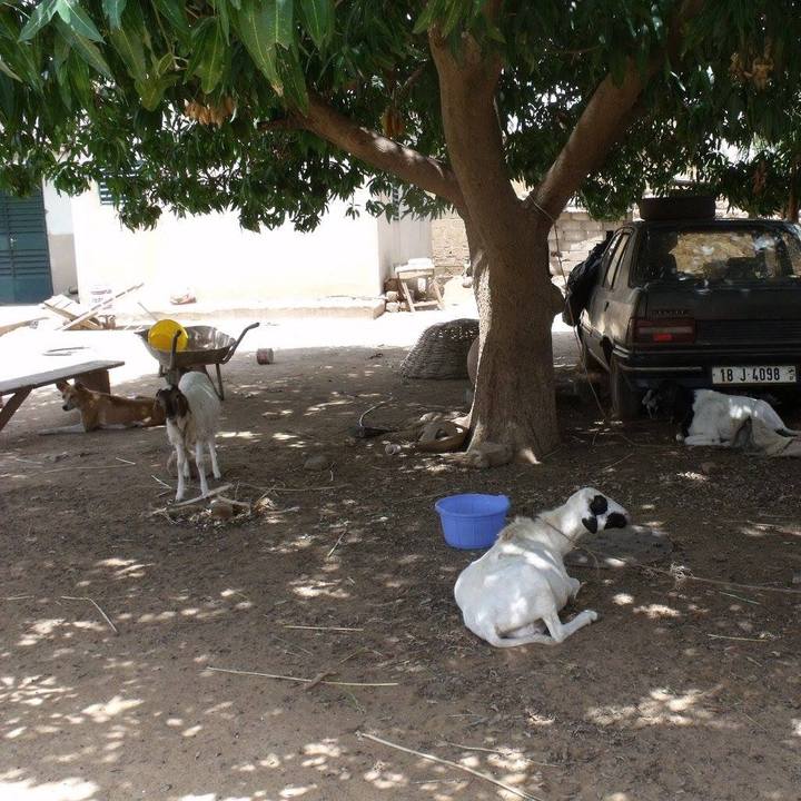 9d0a2a41 abc4 409f b971 70e776ce2963