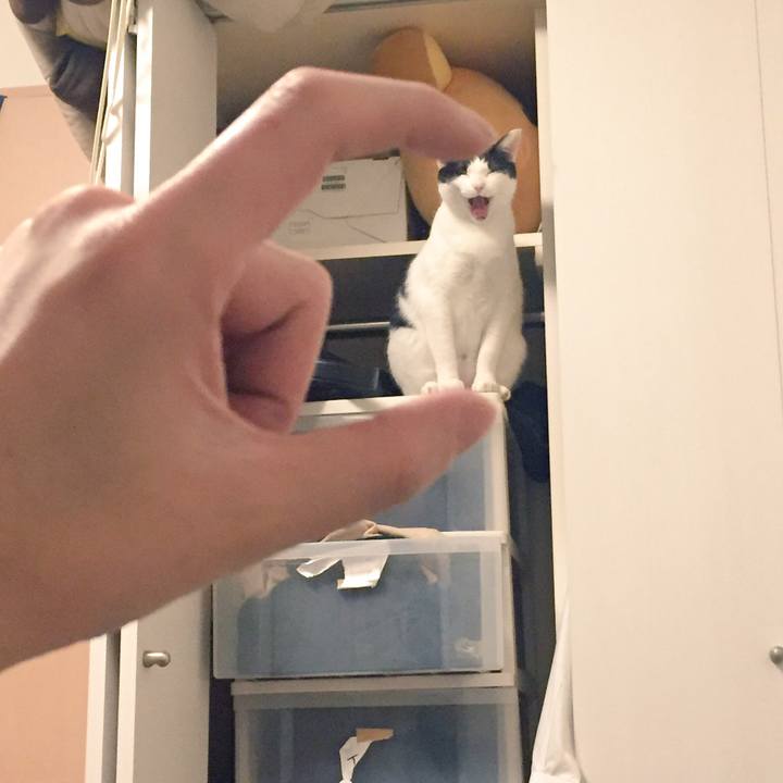 9d0a4e47 8e08 4e90 b2ce 67cc8d22b0b6