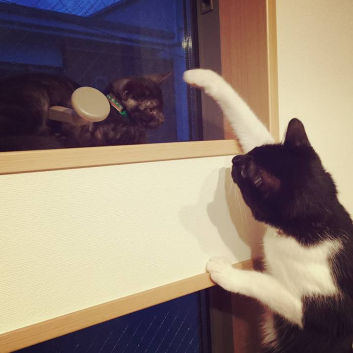 9d0b11ab 4978 4da3 8196 8e3e41595348